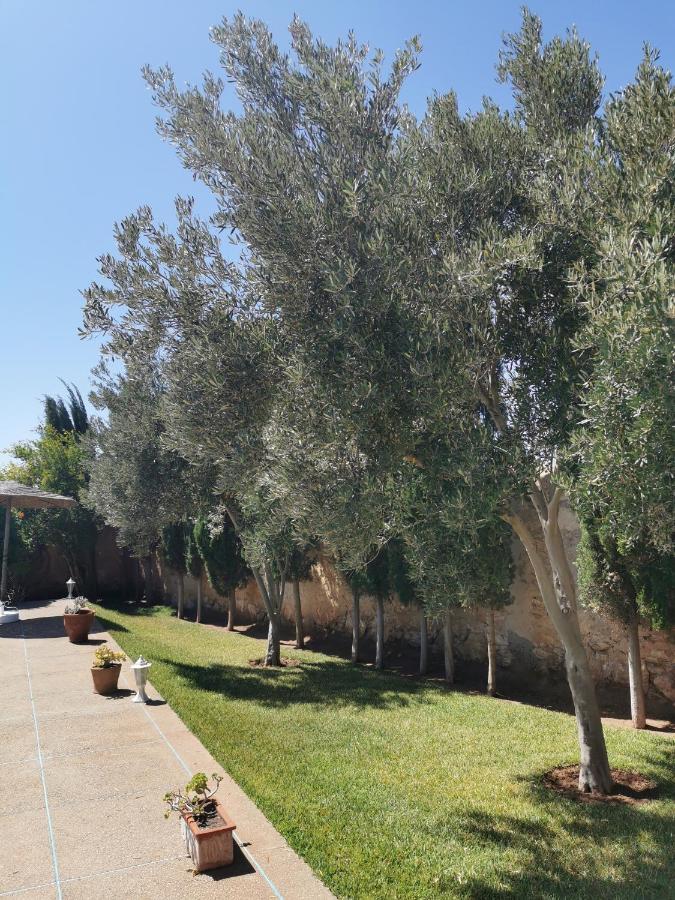 Maison Mimosa, Lovely 3 Bedroom Villa With A Large Pool Essaouira Buitenkant foto