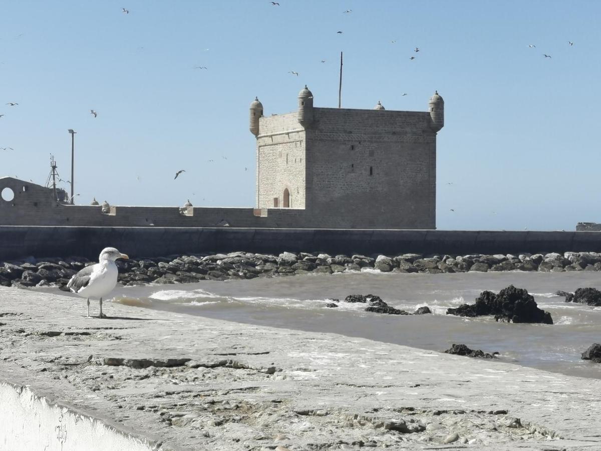 Maison Mimosa, Lovely 3 Bedroom Villa With A Large Pool Essaouira Buitenkant foto