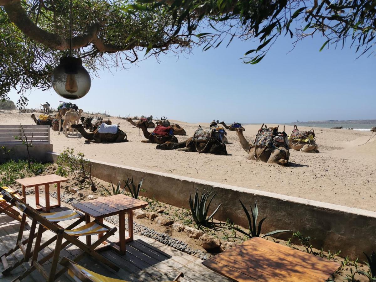 Maison Mimosa, Lovely 3 Bedroom Villa With A Large Pool Essaouira Buitenkant foto
